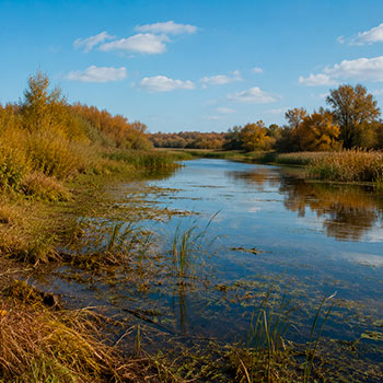 Біосферний заповідник в Україні