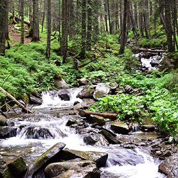 Пам'ятки природи